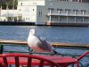 IMG_0659.JPG