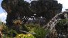 20170514_141444-min.jpg