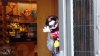 SAM_1108.JPG