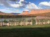 Red Cliffs 1.JPG