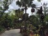 entrance.jpg