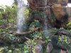 water fall.jpg