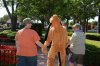 Pluto walking away 40.jpg