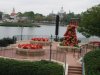 pointsettias.jpg
