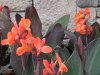 DSCN9504.JPG