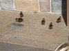 DSCF4611.JPG