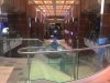 Anthem of the Seas 107.JPG