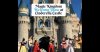 magic-kingdom-stage-show.jpg