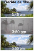 floridabelike.PNG