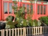 Epcot pandas.jpg