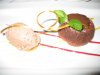truffle cake cinnamon ice cream.jpg