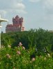 IMG_2072.JPG