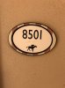 18869836_10212583198392255_514986727_o.jpg
