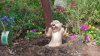 SAM_1058.JPG
