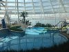 IMG_8039.JPG