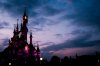 DLP-134.jpg