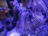 IMG_3367.jpg