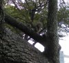 IMAG1229_1.jpg