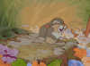 bc588ef94b39739897e7e3be8d8ac3e6.gif