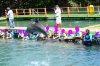 DSC_2632 no faces.jpg