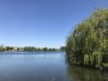IMG_1759.jpg