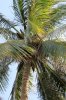 IMG_3188.JPG