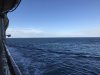 IMG_1863.jpg