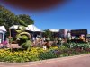 donald topiary.jpg