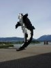20170521_103625_resized.jpg
