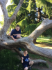 upload_2017-6-8_18-55-22.png upload_2017-6-8_18-55-22.png