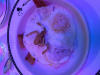 upload_2017-6-10_20-11-34.png