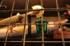 30213024_Unknown.JPG