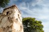 WDW-0114-Edit.jpg