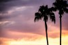 WDW-094a.jpg