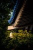 WDW-101.jpg