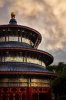 WDW-107.jpg