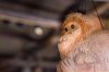 WDW-9756.jpg