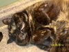 100_2547.jpg