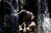 WDW-9553.jpg