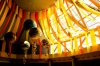 WDW-1539a.jpg