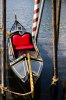 WDW-9788.jpg