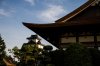 WDW-9819.jpg