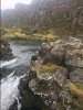 IMG_4631.JPG