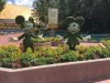 topiary2.jpg
