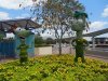 topiary3.jpg