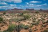 DSC_2417.jpg