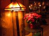 IMG_3050.JPG