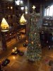 IMG_3052.JPG