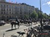 IMG_2284.jpg