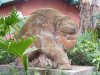 DSCF0778.JPG